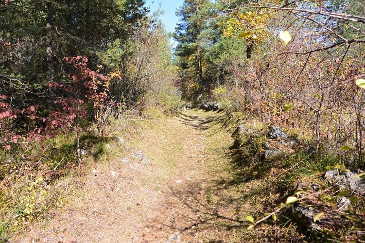 le causse de Paussac