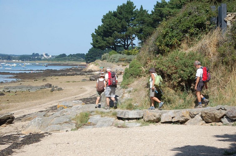 Sentier des Culs salés, Séné