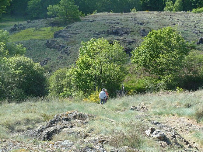 Sentier de la serpentine_1