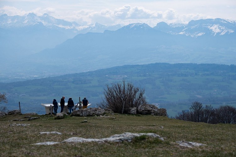 Rundwanderweg : découverte panoramique de l'alpage du Plan