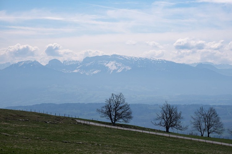 Hiking loop: découverte panoramique de l'alpage du Plan