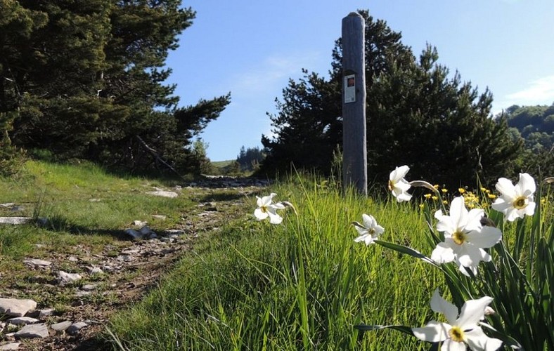 Sentier des planètes - de Lure à Neptune