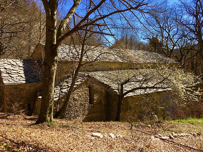 Notre-Dame de Lure