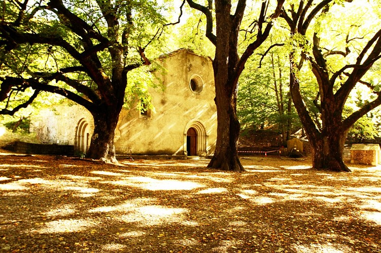 Notre-Dame de Lure