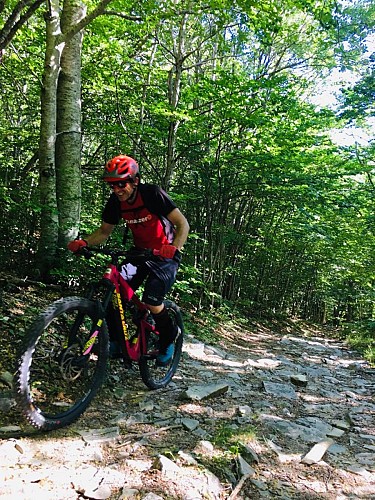 Parcours VTT Saint-Etienne-les-Orgues