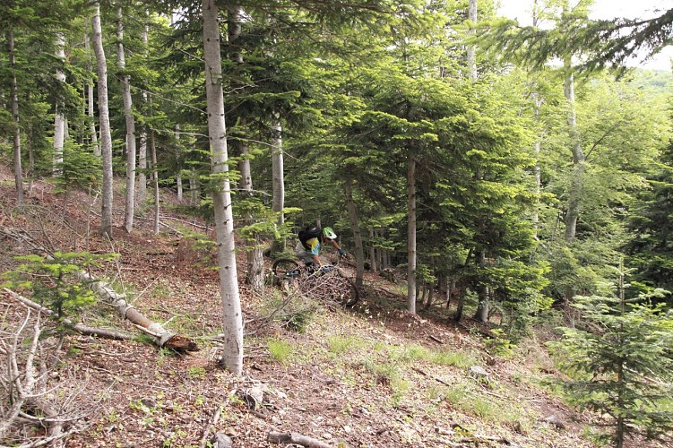 Parcours VTT Saint-Etienne-les-Orgues