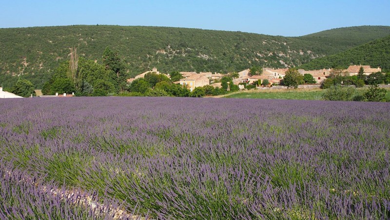 Randonnée Le chemin de Bouiron