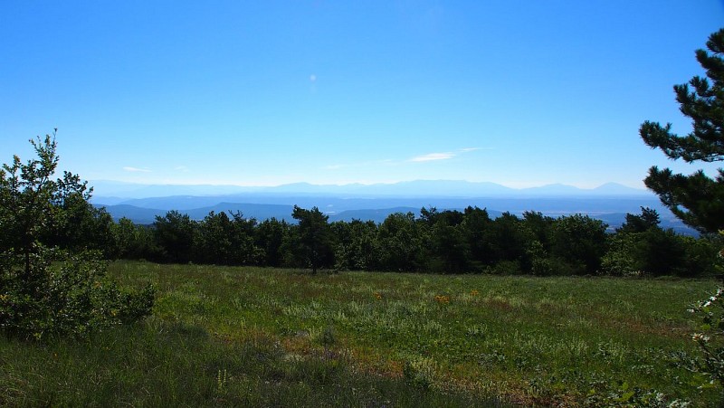 Pays de Forcalquier-Montagne de Lure