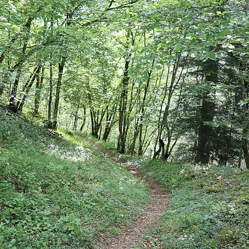 sur le GRP aprés Trés Roche