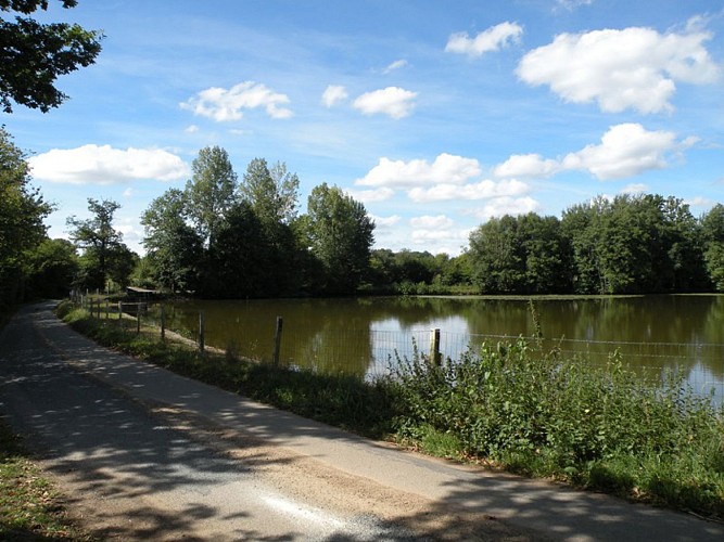 23 - L'étang de Cadin (Lignières-Orgères)
