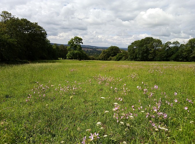 CIRCUIT DE LA COUDRAIE - N°53