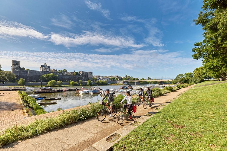 La boucle angevine de La Loire à Vélo