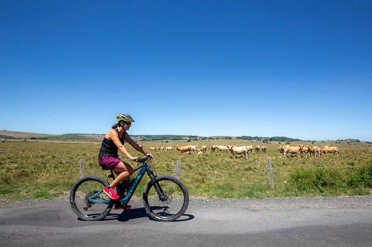 Sortie vélo sur l'Aubrac