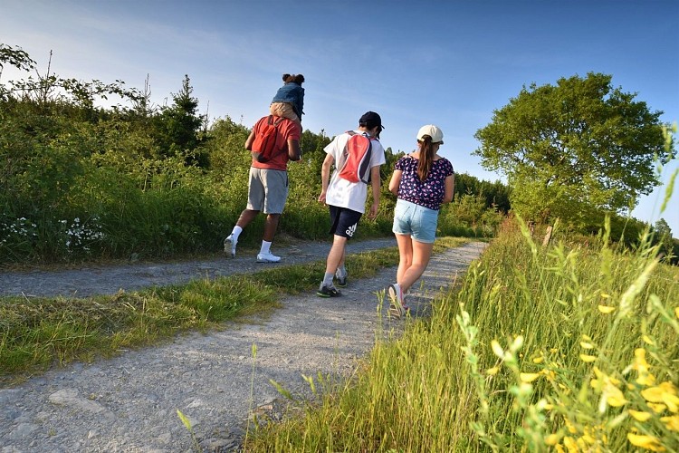 Cap Sûre-Anlier - Balades en forêt ardennaise