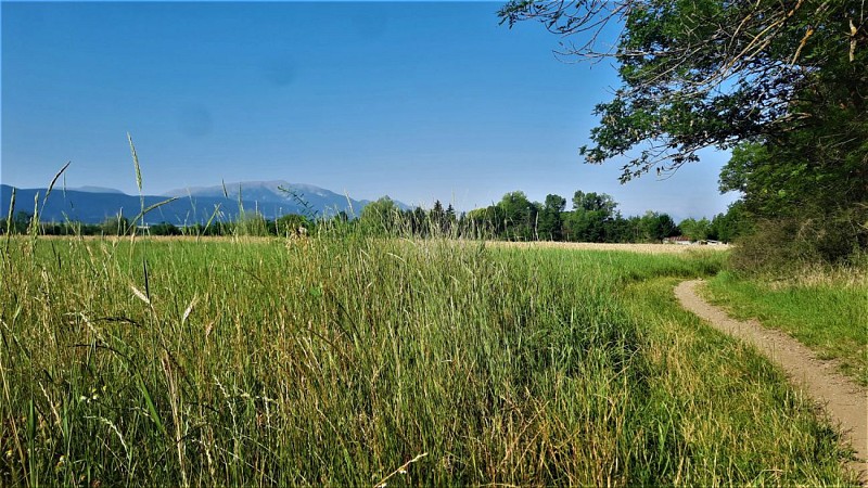 Cheminement en bordure de champs et vue sur la Tossa d'Alp