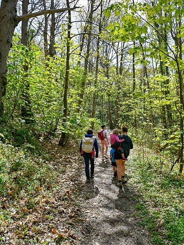 La vallée des Peintres