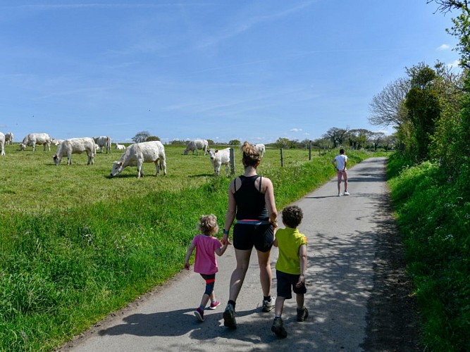 Les hauts de Bouillon