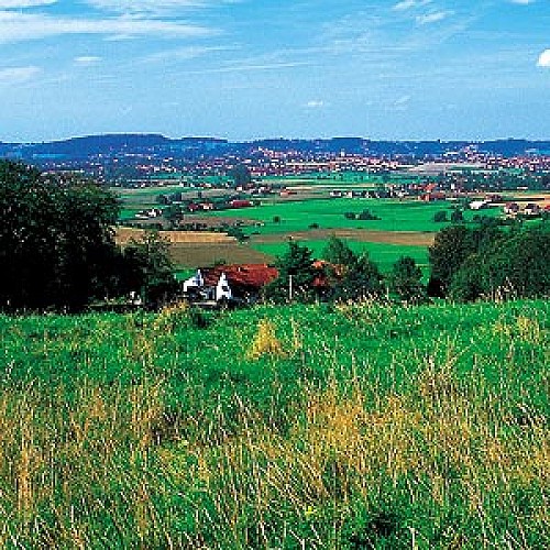 La Balade des Hiboux