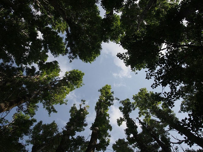 La vallée de la Marne, de Lagny-sur-Marne à Jablines_Lagny-sur-Marne