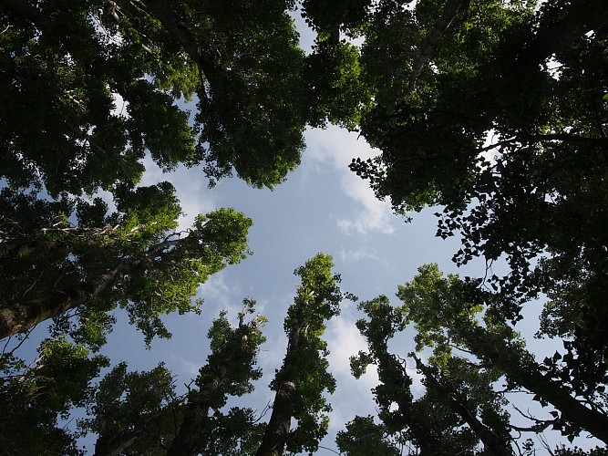 La vallée de la Marne, de Lagny-sur-Marne à Jablines_Lagny-sur-Marne