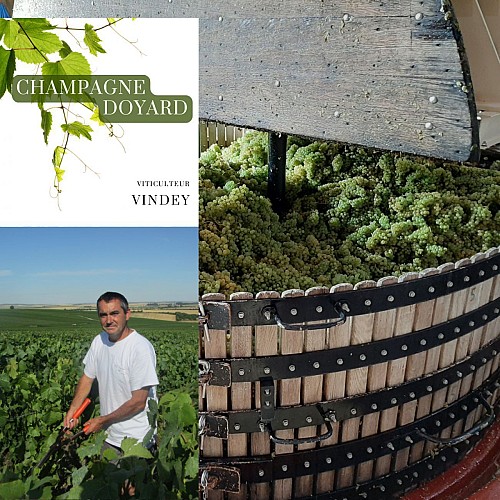 Champagne Bernard et Bertrand Doyard 