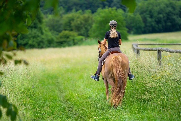 Equestrian loop around the Gâtinais