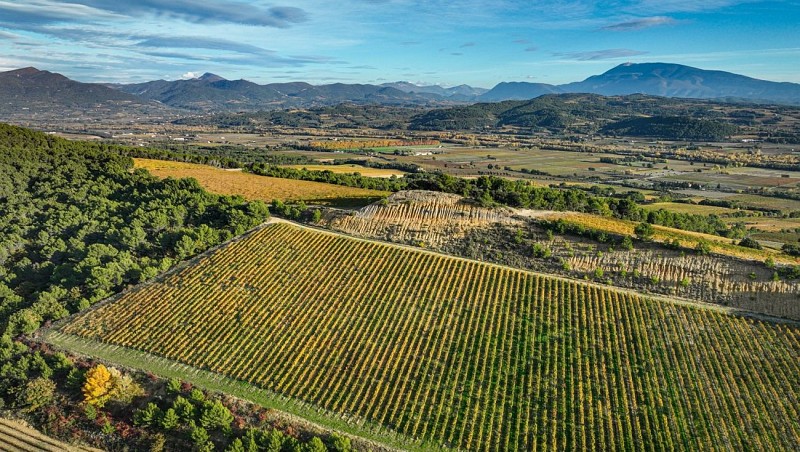 Les petites promenades de Vinsobres : les chemins du terroir