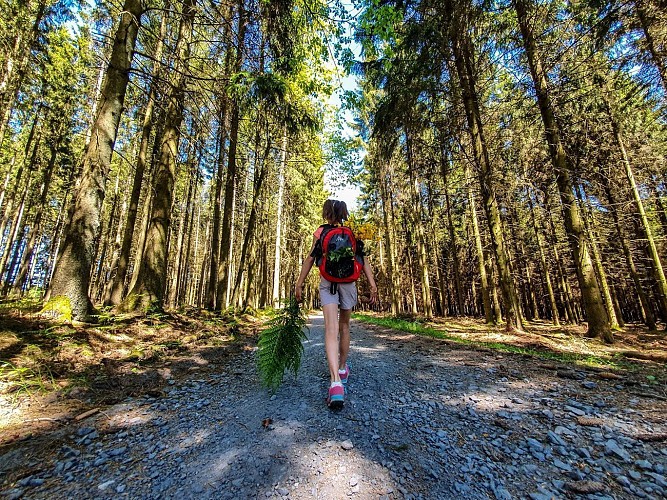Randonnée en Haute Ardenne