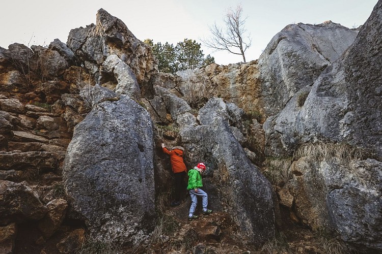 Fondry des Chiens à Nismes
