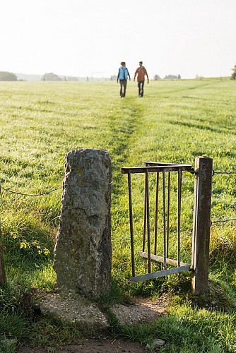 Canton de l'Est - Chemin des Echaliers