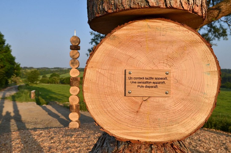 6 portes sensorielles