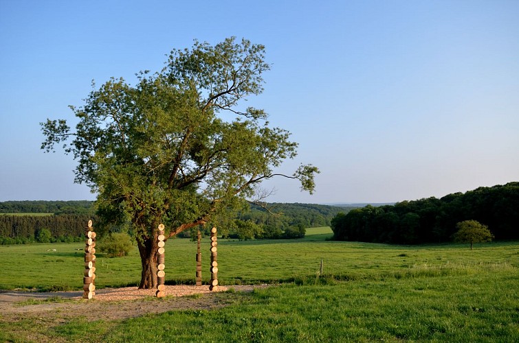 6 portes sensorielles