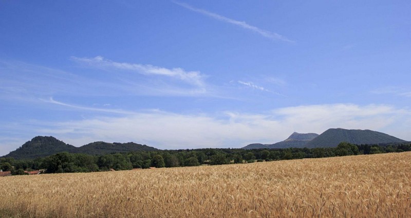 Panorama sur la Chaîne des Puys
