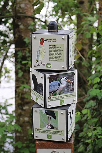 eymet-escourou-oiseau2