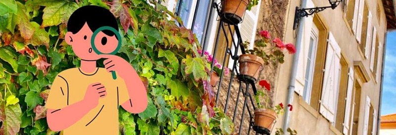 Théodon sur les traces des vignerons