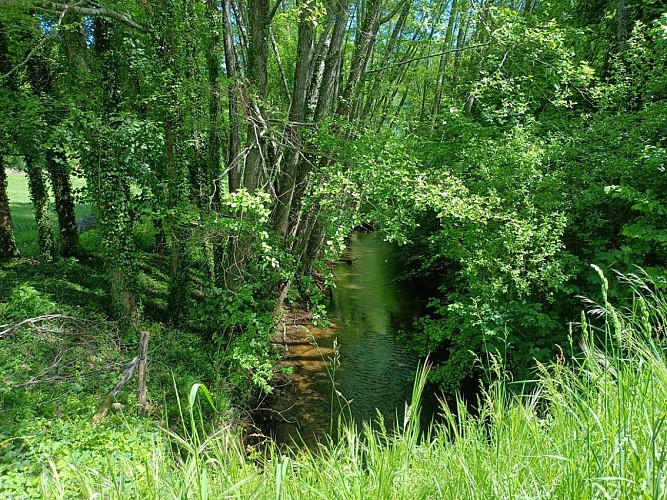 Le Caudeau au niveau du Chateau de Montastruc (3)