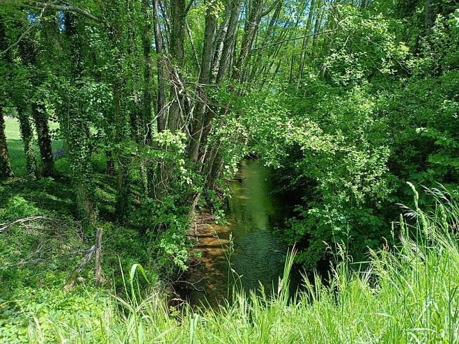 Le Caudeau au niveau du Chateau de Montastruc (3)