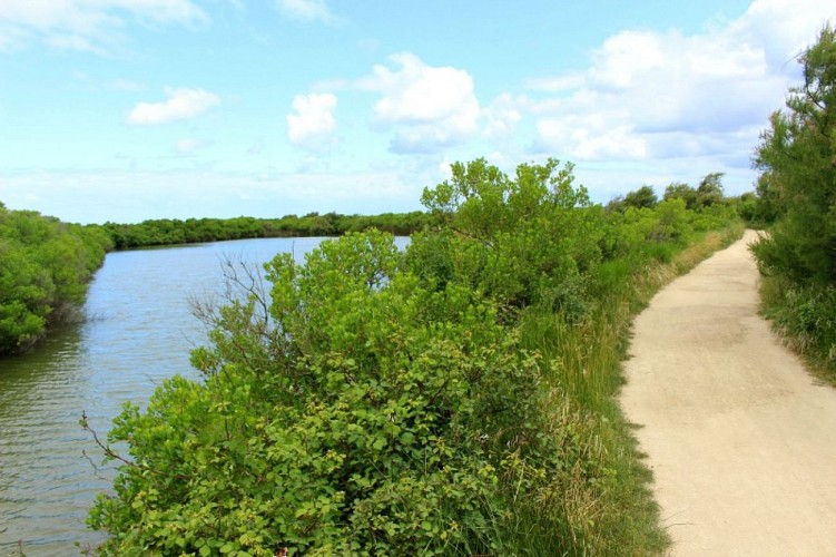 Au Teich, comme un oiseau sur le sentier du littoral