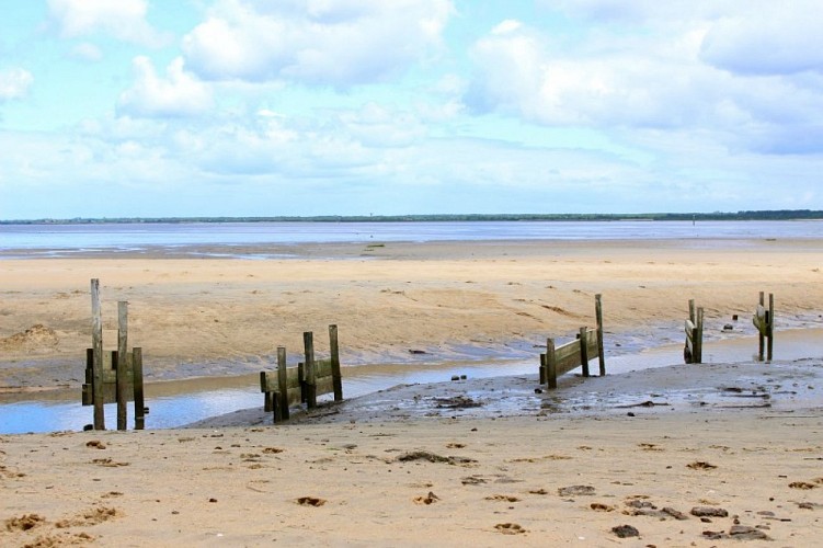 Au Teich, comme un oiseau sur le sentier du littoral