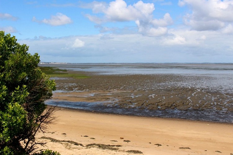 Au Teich, comme un oiseau sur le sentier du littoral