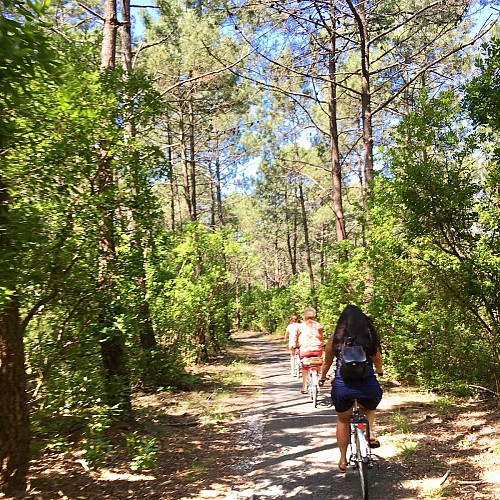 Vélo Hourtin - © Médoc Atlantique
