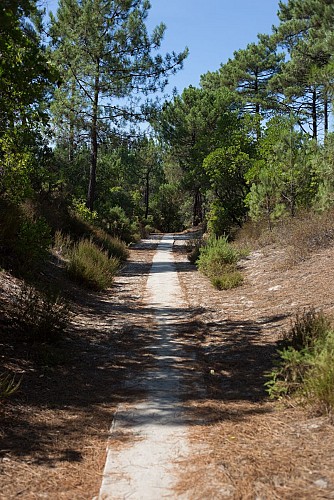 Piste cyclable