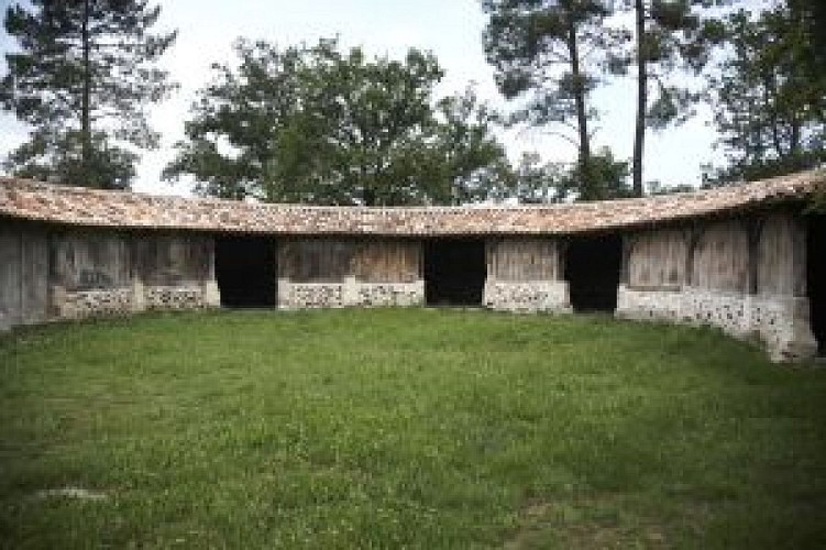 Bergeries en Sud Gironde