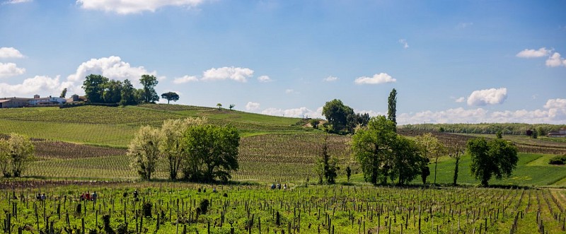 47840895801_01d4a3bad4_5k