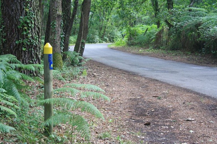 A Lanton, Audenge, Biganos, Le Teich sur les traces de Saint Jacques de Compostelle