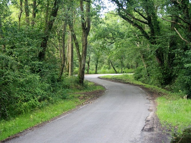 A Lanton, Audenge, Biganos, Le Teich sur les traces de Saint Jacques de Compostelle