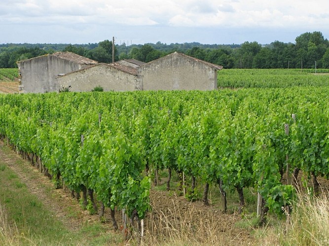 Trias-Crédit-Office_tourisme_LNG (10)