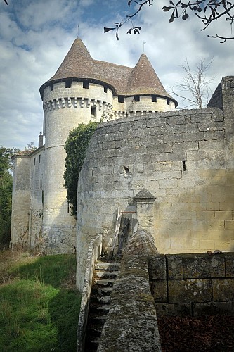 DAIGNAC - Grand château de Pressac 2