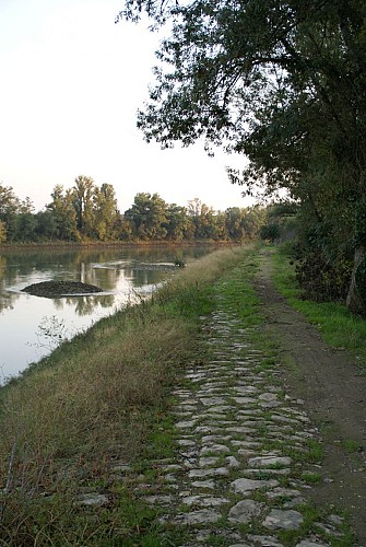 Bord de Garonne à Caudrot