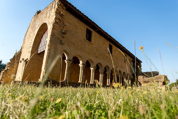 35346822873_d1ed51d4e9_c